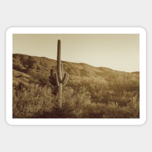 Sonoran Desert in monochrome Sticker